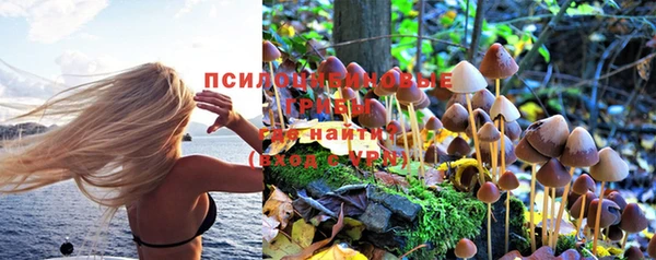 дживик Абдулино
