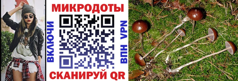 Галлюциногенные грибы Magic Shrooms  магазин продажи наркотиков  hydra зеркало  Кострома 