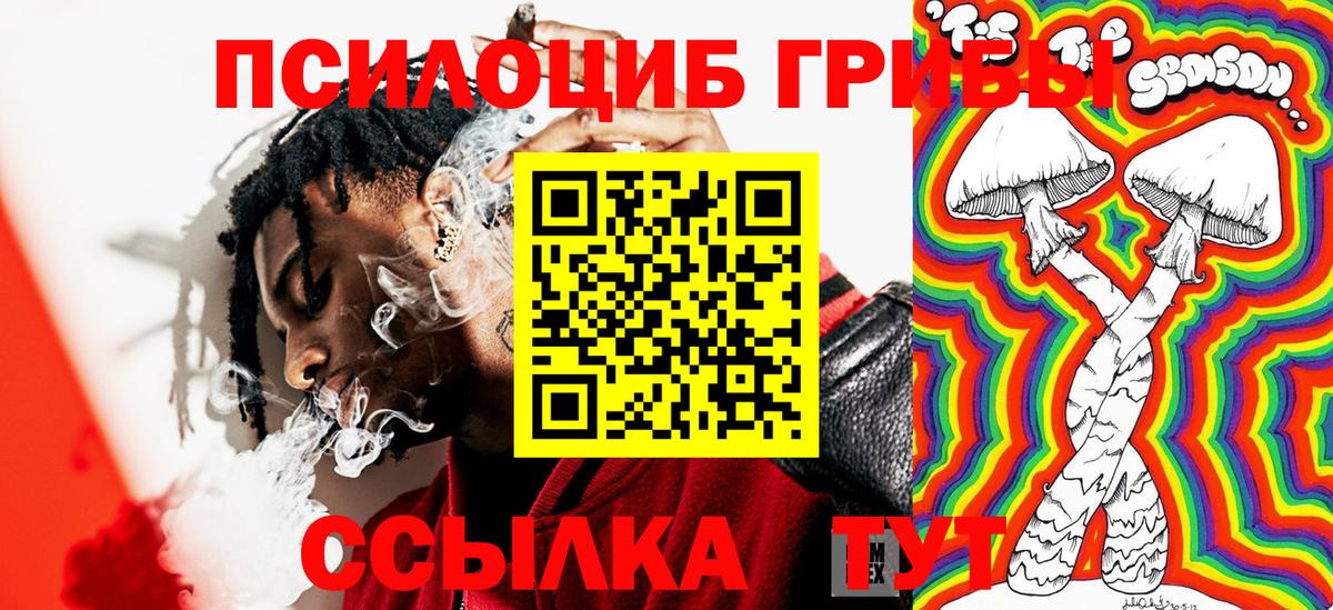 Галлюциногенные грибы Psilocybe Кострома